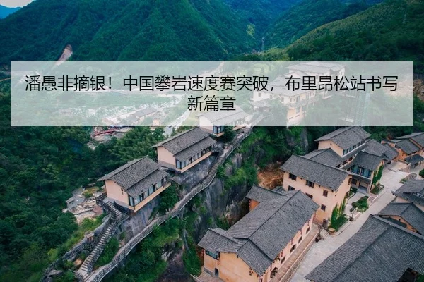pan-yu-fei-zhai-yin-zhong-guo-pan-yan-su-du-sai-tu-po-bu-li-ang-song-zhan-shu-xie-xin-pian-zhang-2-335.jpg